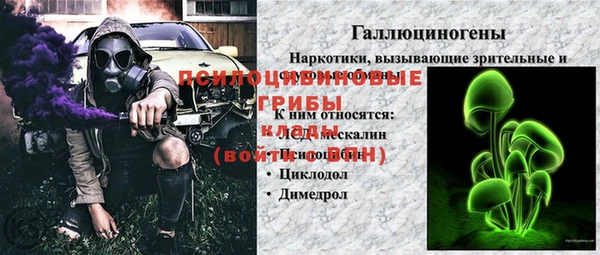 прущий лед Аркадак