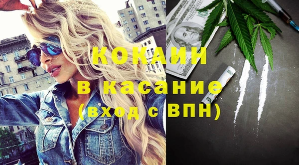 стафф Арсеньев