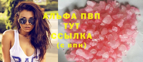 стафф Арсеньев