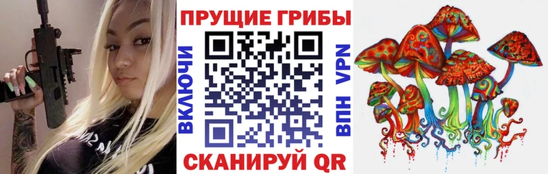 Галлюциногенные грибы GOLDEN TEACHER  OMG маркетплейс  Ступино 